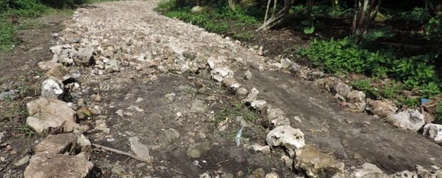 Kondisi telford di Desa Kembang Mekar, Kecamatan Sambi Rampas, Manggarai Timur (Foto: Floresa)