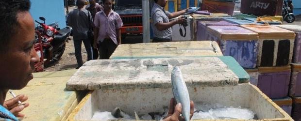 Ikan Berformalin di NTT