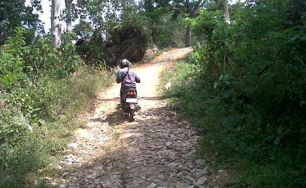Jalan Benteng Jawa - Wae Naong (Foto: Elvis Ontas/Floresa)