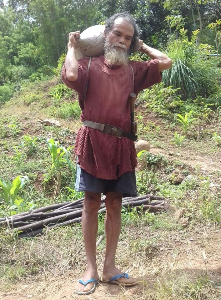 Hingg kini, Stefanus Banus memilih menetap di pondok di ladang miliknya. (Foto: Ronald Tarsan/Floresa)
