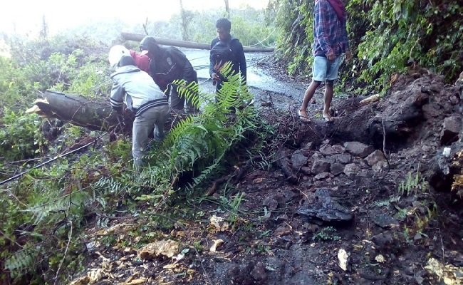 Pohon Tumbang, Tiang Listrik Patah