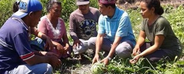 Viktor Slamet, calon bupati Manggarai dalam salah satu kunjungan ke wilayah Kecamatan Satar Mese