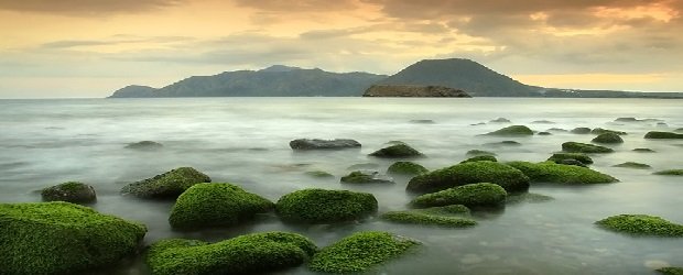 Pantai Mbuu