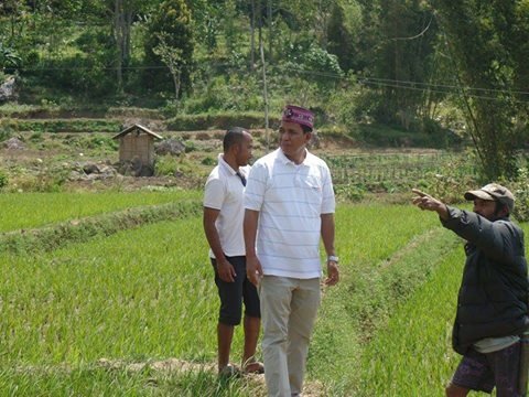 Viktor Slamet blusukan ke sawah (Foto : Grup pasangan Viktor-Baeng)