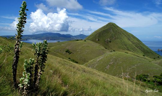Pulau Padar (Foto : Wikipedia)