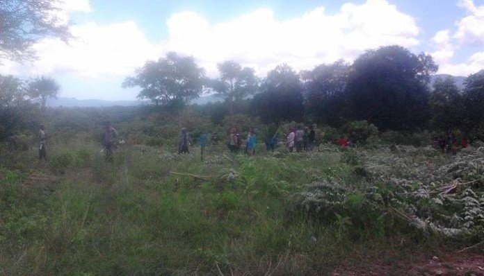 Warga Suku Manbait sedang membersihkan lahan, yang sudah ditelantarkan sekian lama