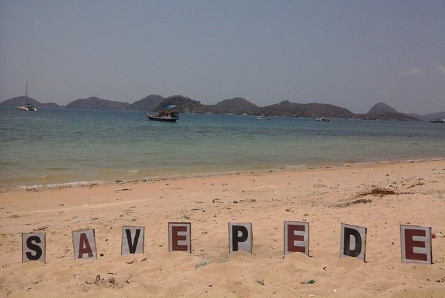 save pede2