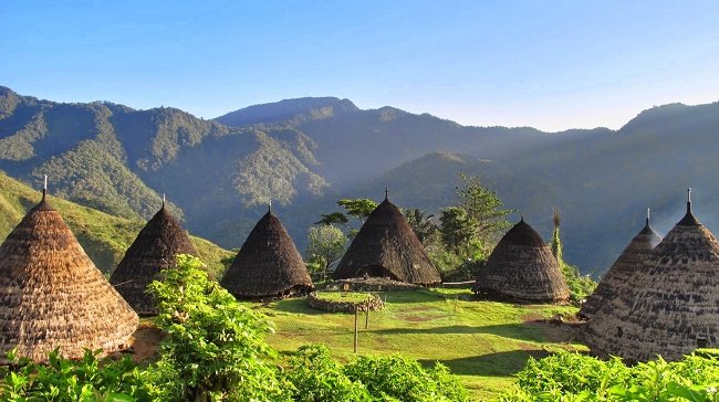 wae rebo2