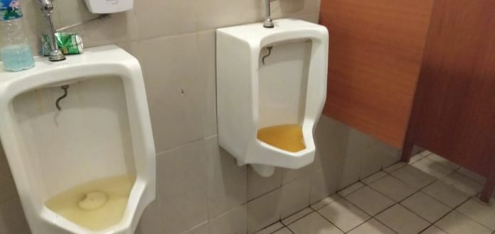 toilet